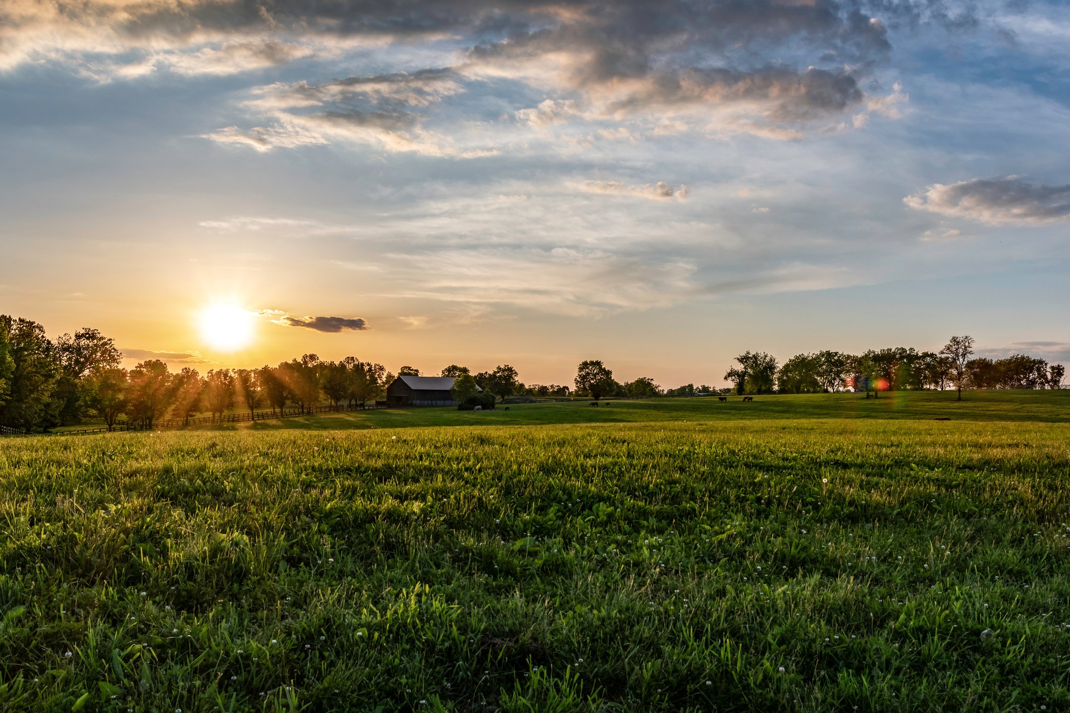 Kentucky horse farm landscape